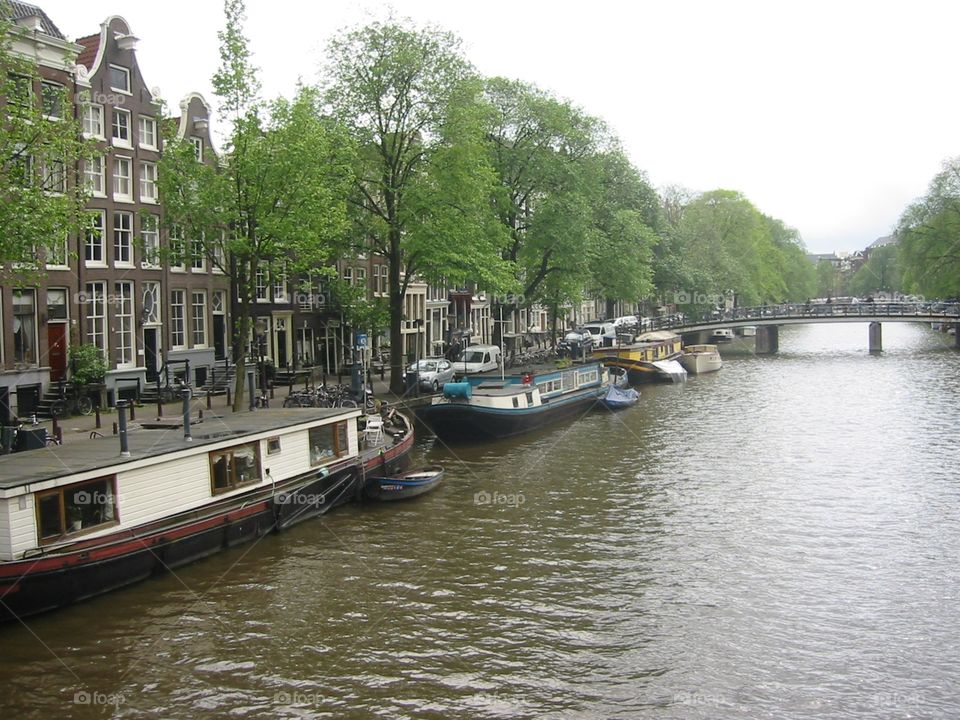 Canals of Amsterdam where the waterways are filled with stolen deserted bikes and house boats.
