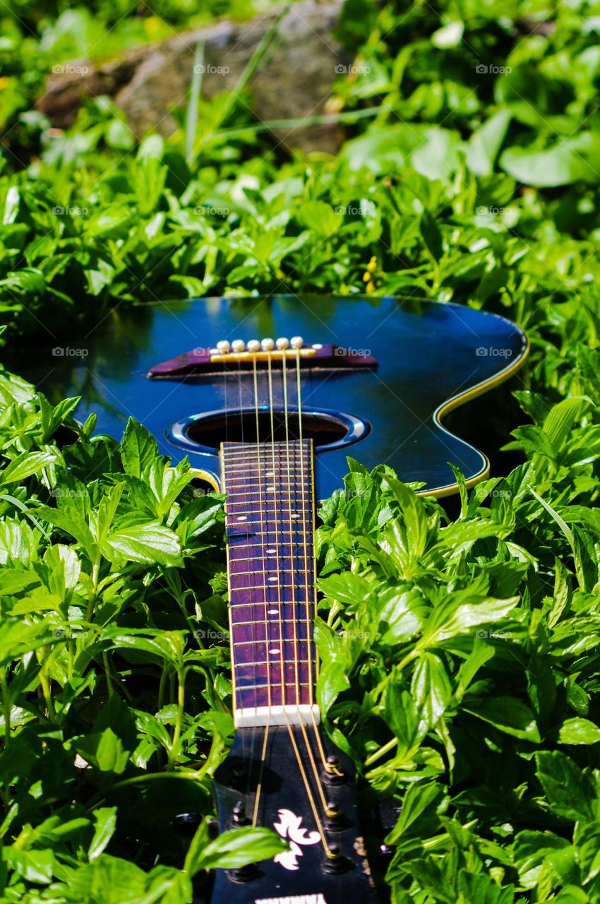 guitar on the grass