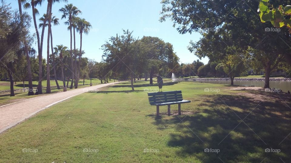 I-Innovation photography