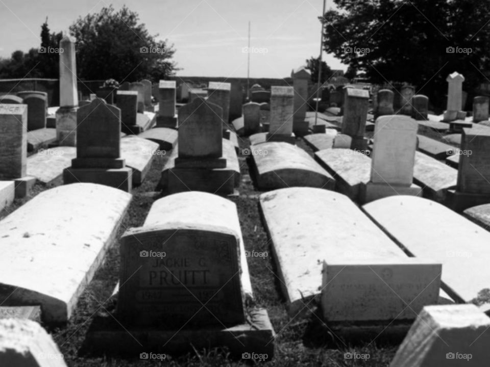 Cemetery, War, No Person, People, Military