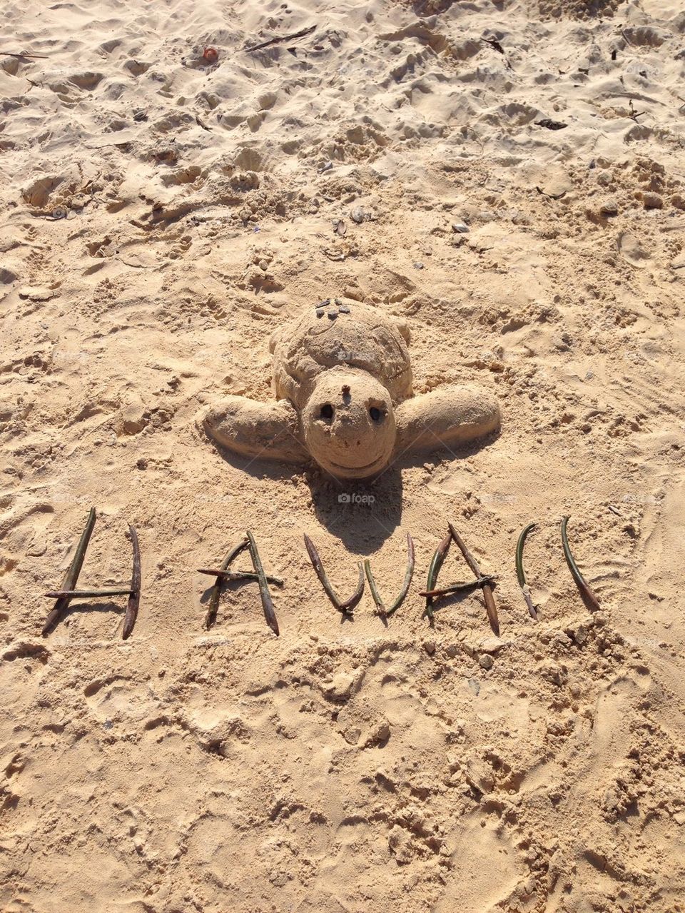 Hawaii Sand Sculpture 
