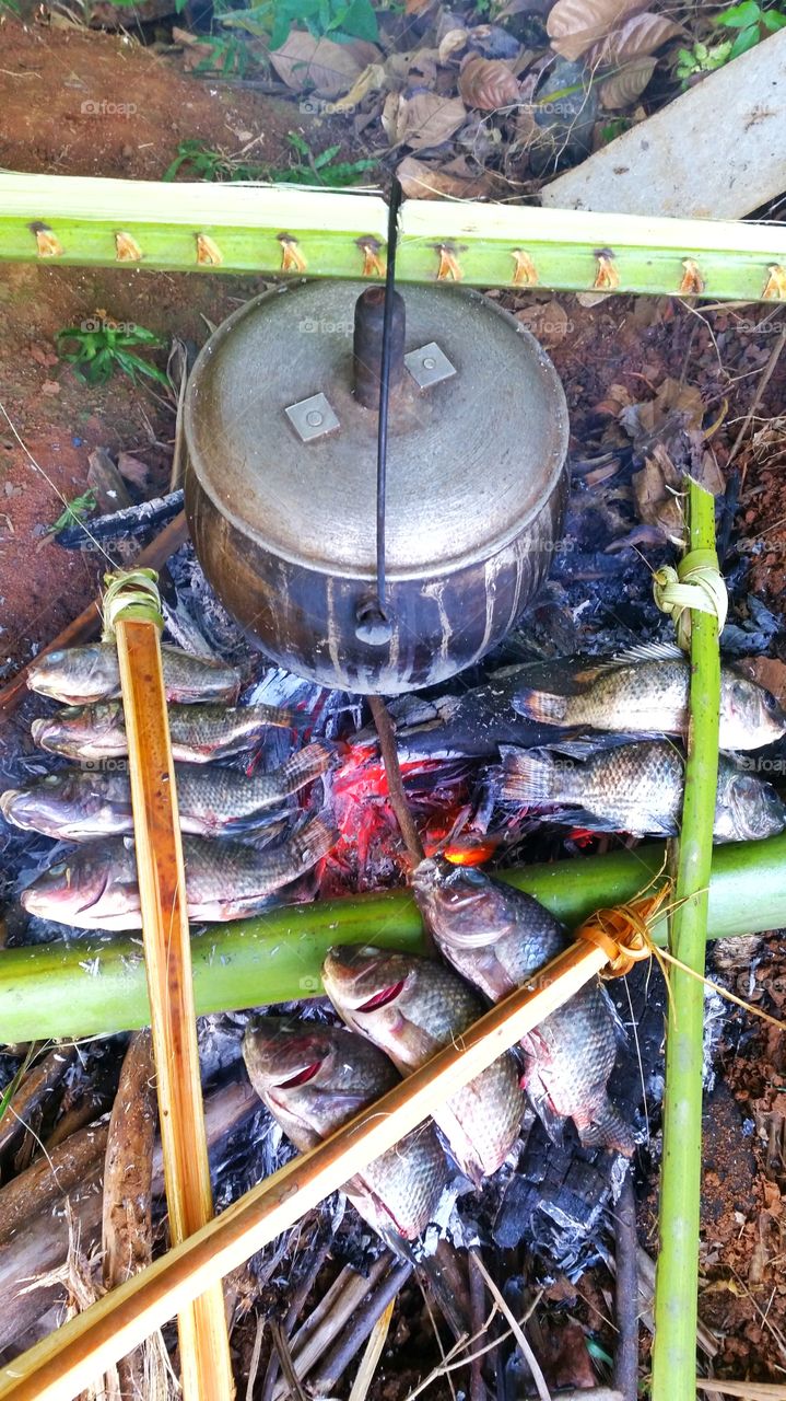 grilled fish