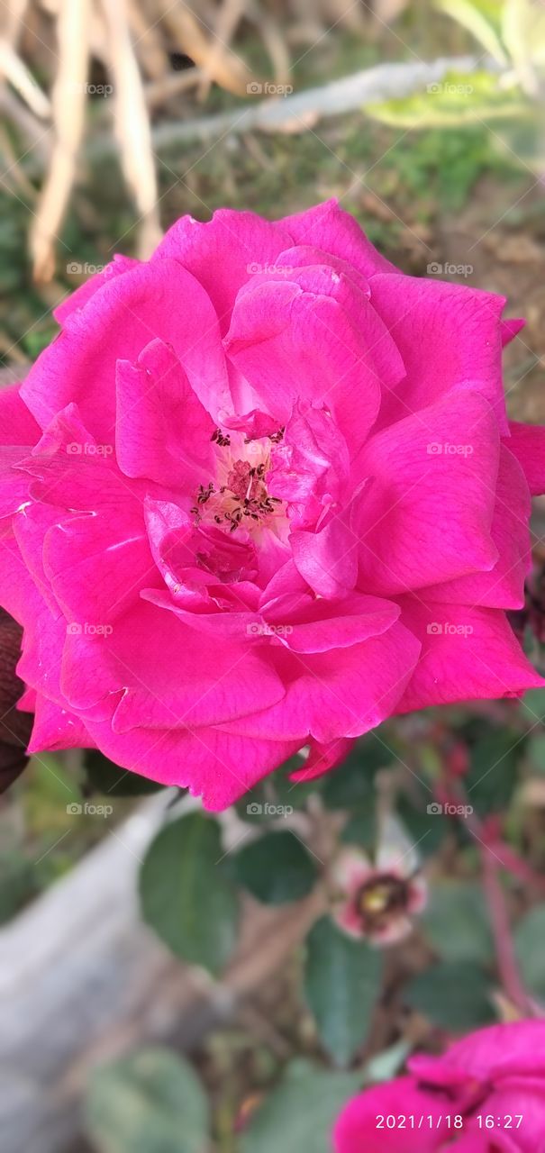 cemaraman Mukesh kumar
cemaramanmukeshkumar@gmail.com Mukesh kumar