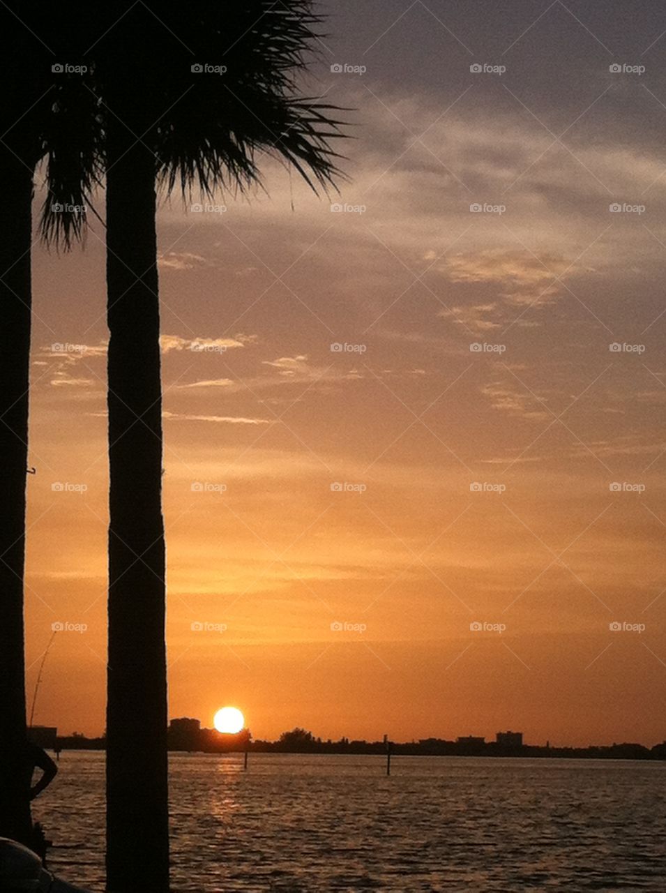 Sunset with Palm tree. Sunset at north bridge Siesta Key Fl