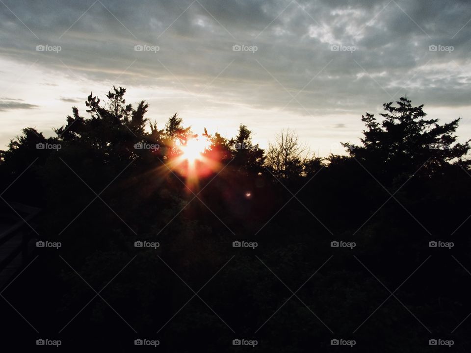 New York, Long Island, Fire Island, Nature, tree, plants, outdoors, calm, relax, shades, colors, Clouds, sky, path, view, sunset, 