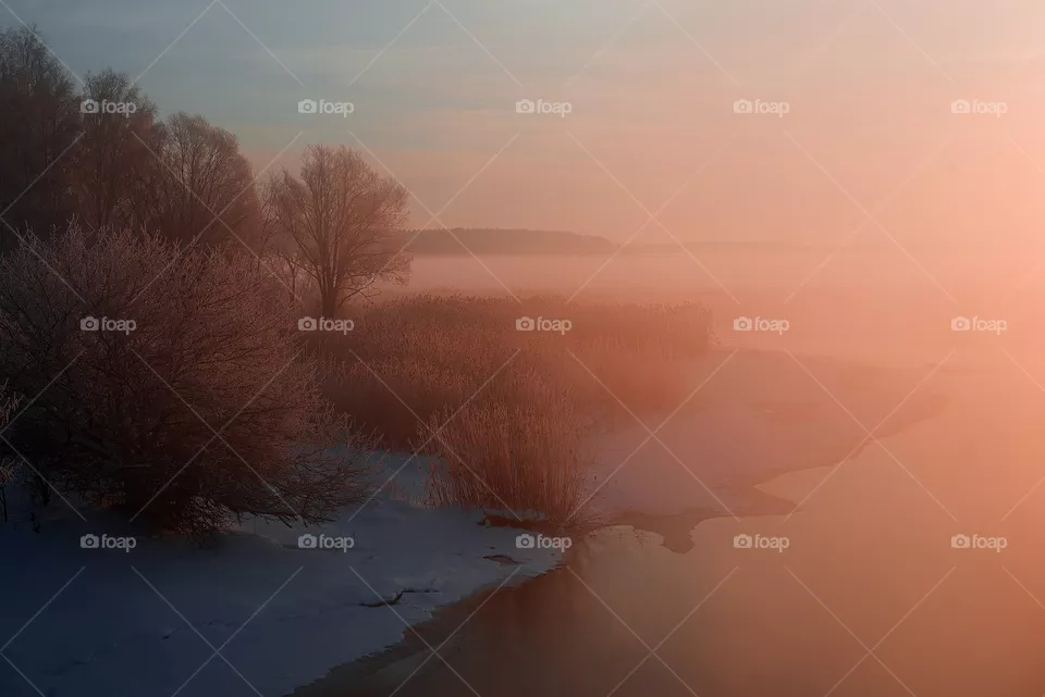 Pink light winter morning