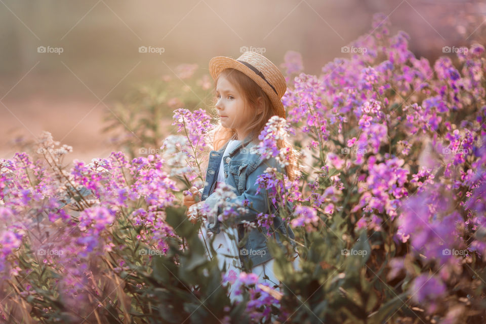 Cute little girl portrait in blossom meadow at sunset 