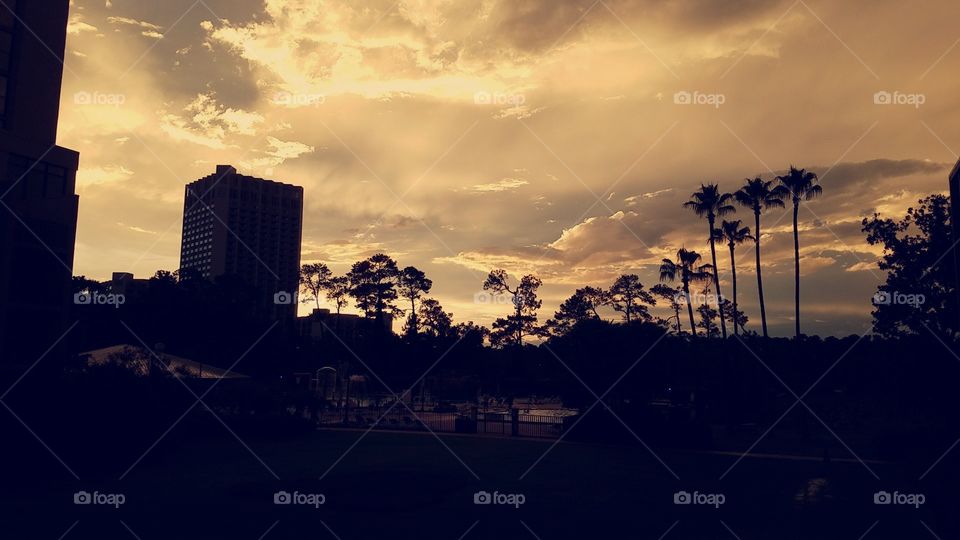 Florida sunset, striking silhouette of hotel and palm trees