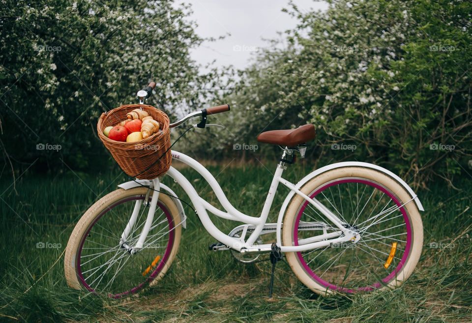 Bicycle with fruit basket in apple yard