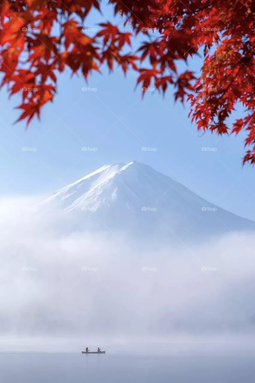 The beauty of colors