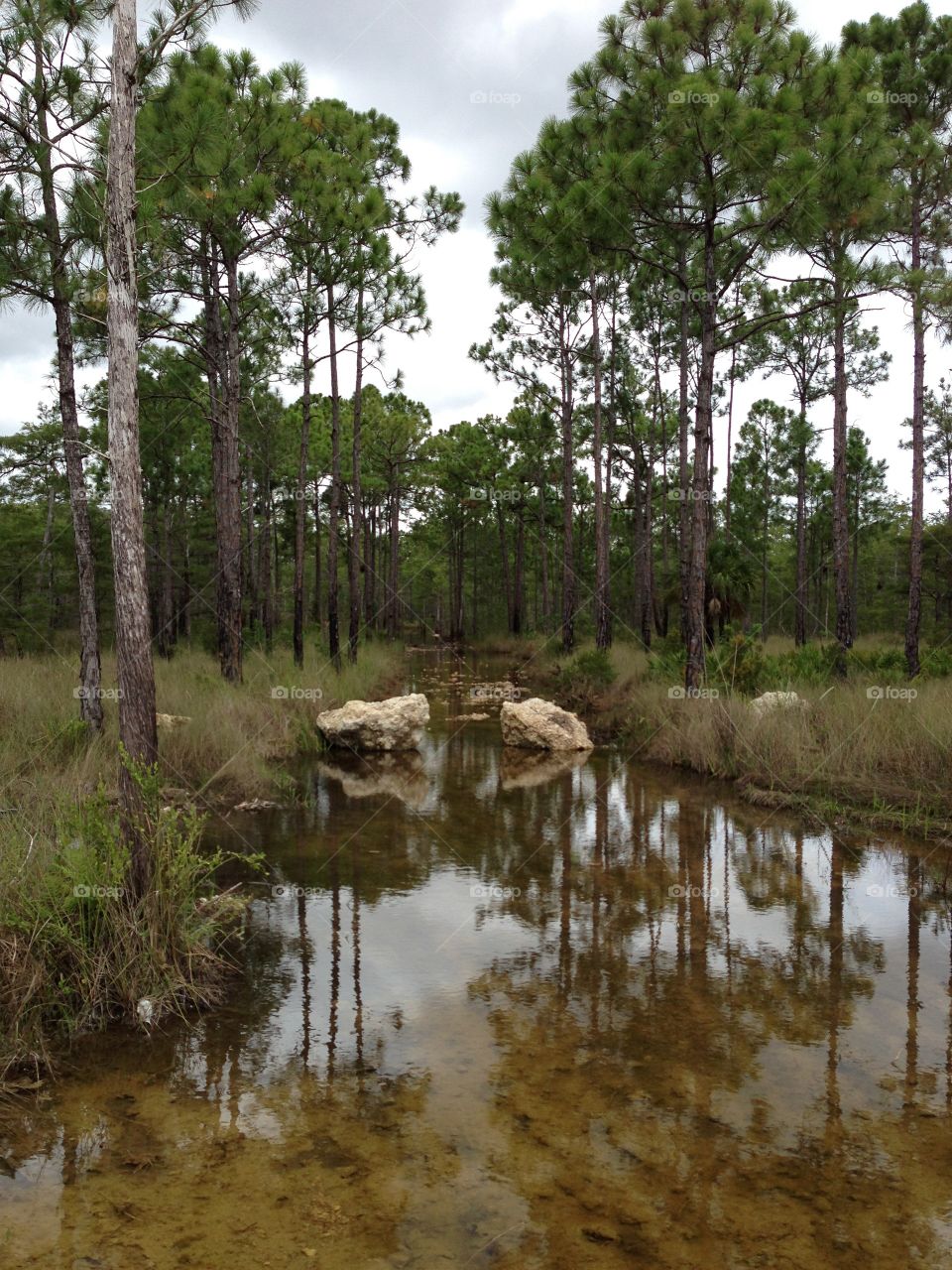 Evening walk through rugged terrain.