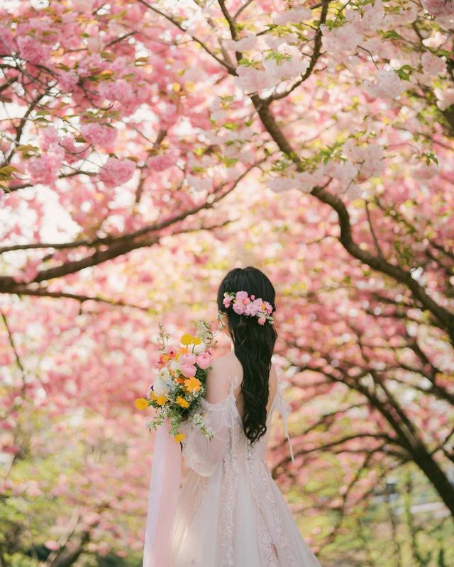 Spring is coming~