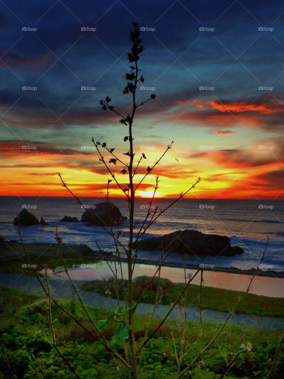 Sutro baths, San Francisco