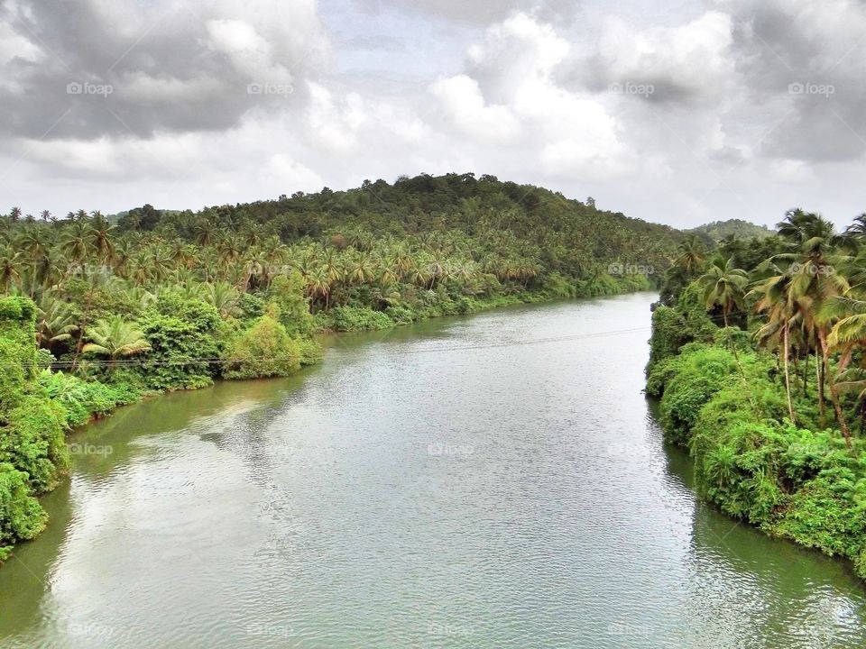 Waterways - River through the Tropical Rainforest