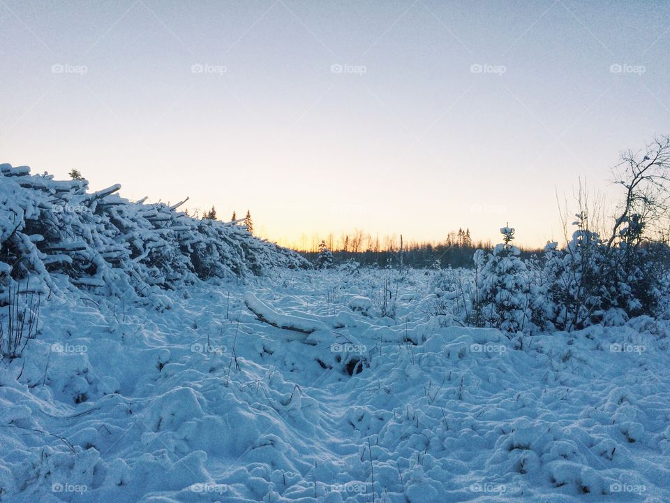 Winter, Snow, Cold, Frost, Frozen