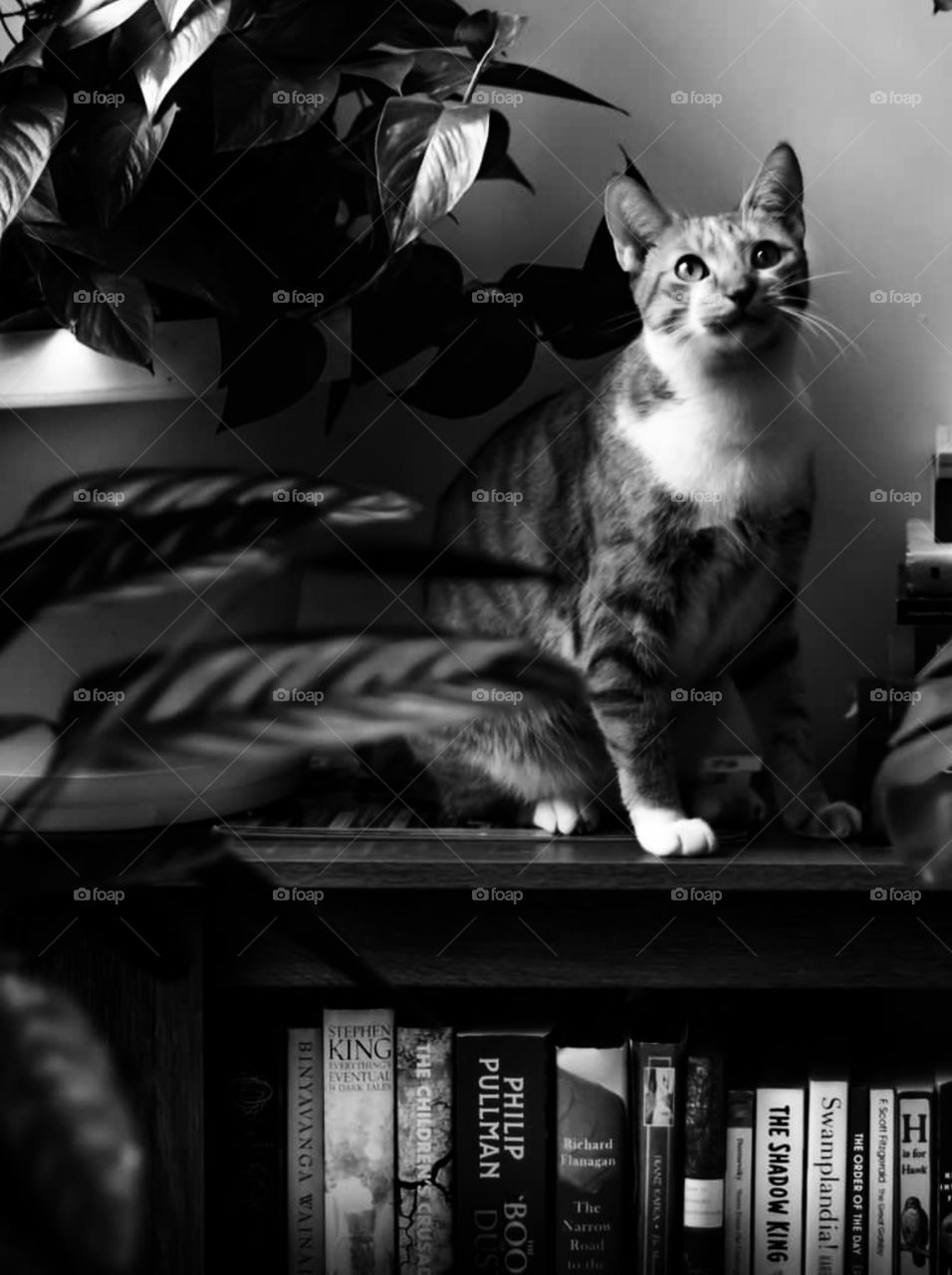 Vee is so extra with her poses 🙄🤣