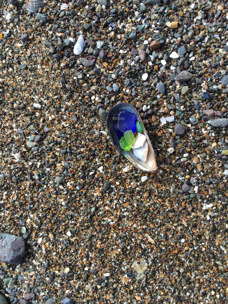 A collection of sea glass in a seashell on rocks from the Pacific Ocean 