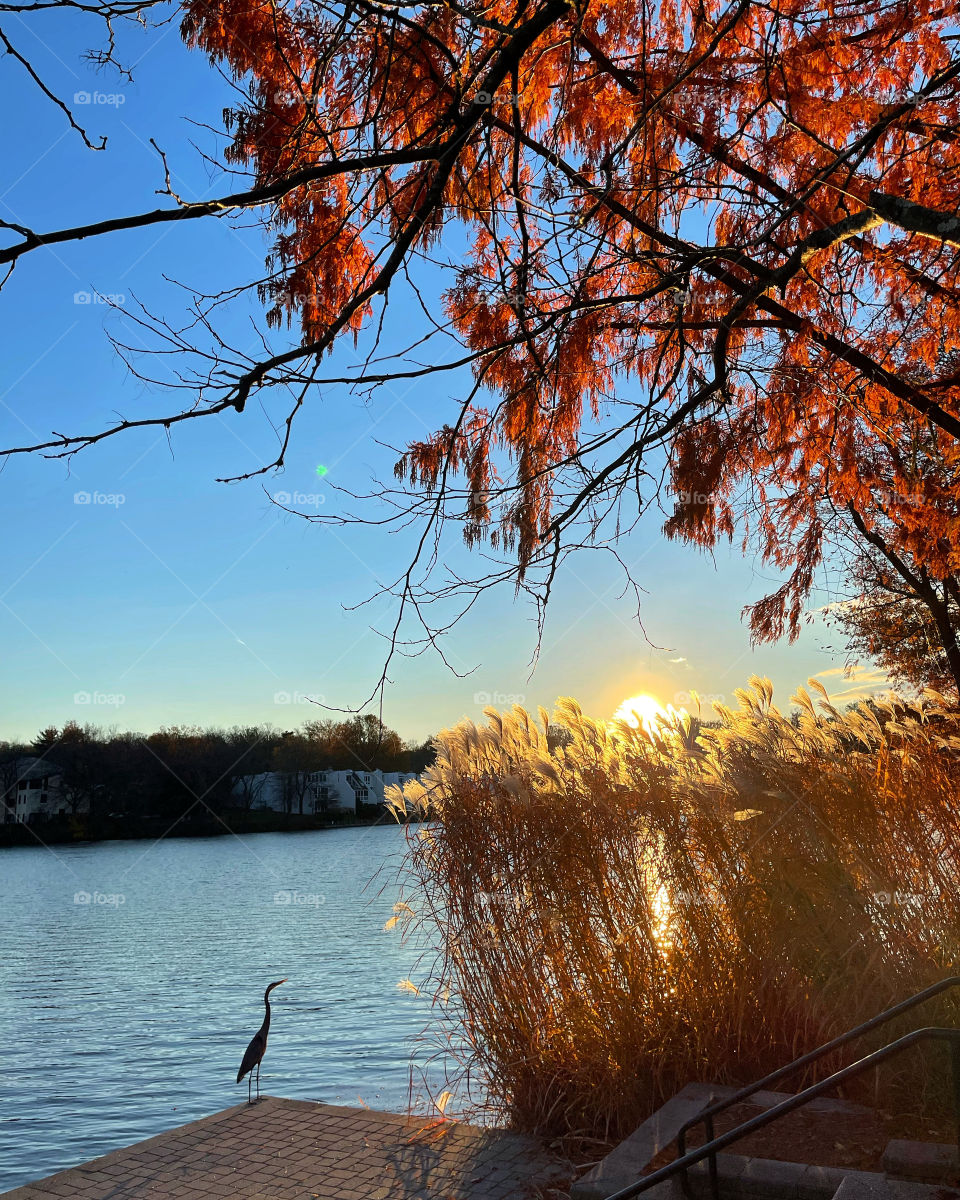 Nature always has a way of grounding you