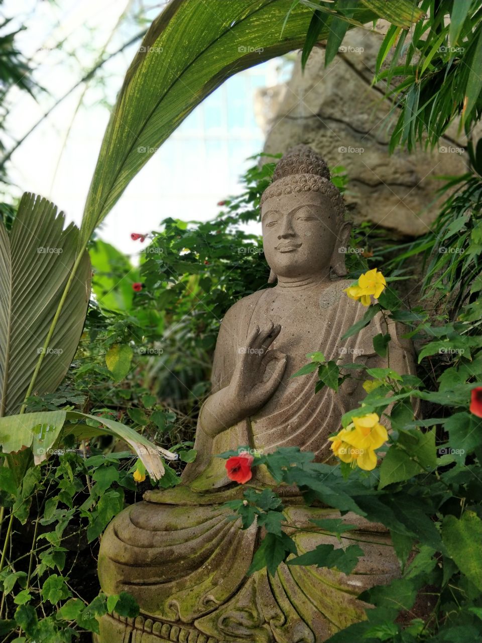 Meditating Buddha Statue at the Buffalo Botanical Gardens