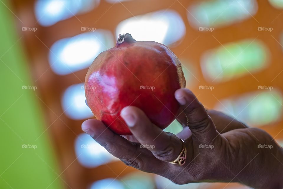 holding food 