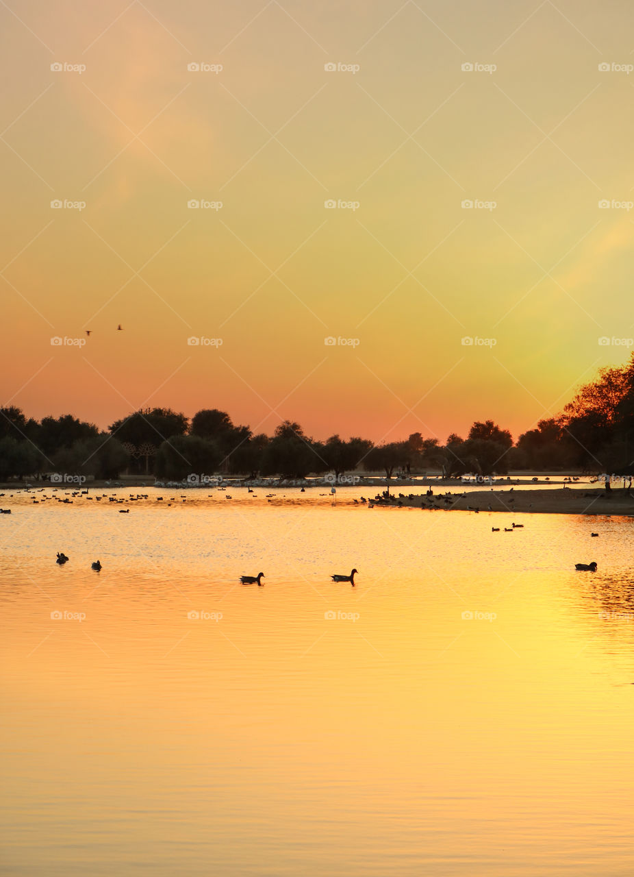 Sunset at the Lake