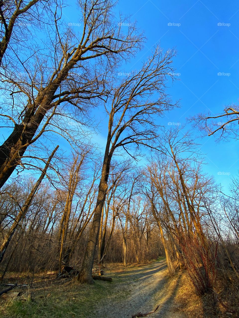 Nature trail 