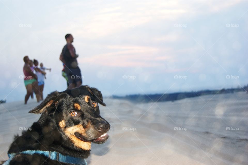 Jake smiling after running around silver lake Michigan's sand dunes! 