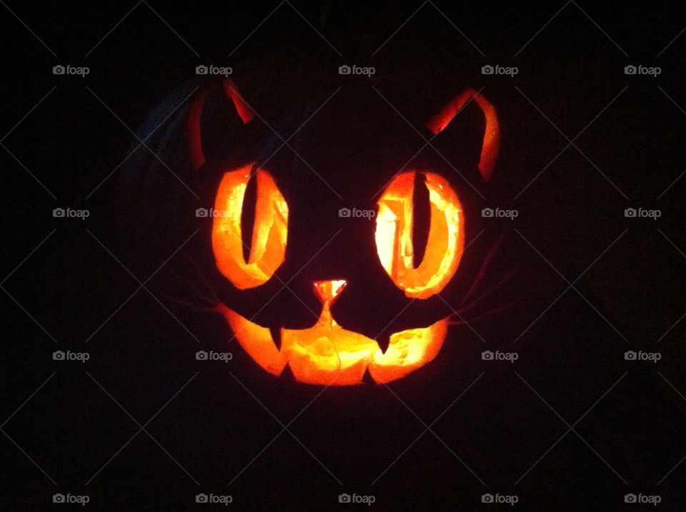 Cat O Lantern
