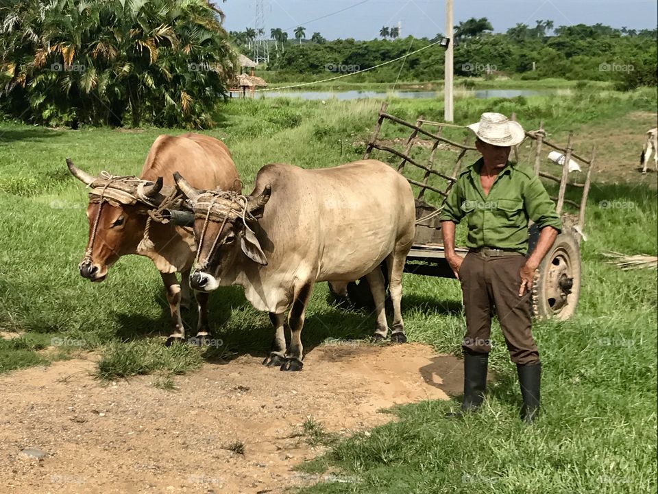 ranchero in Cuba