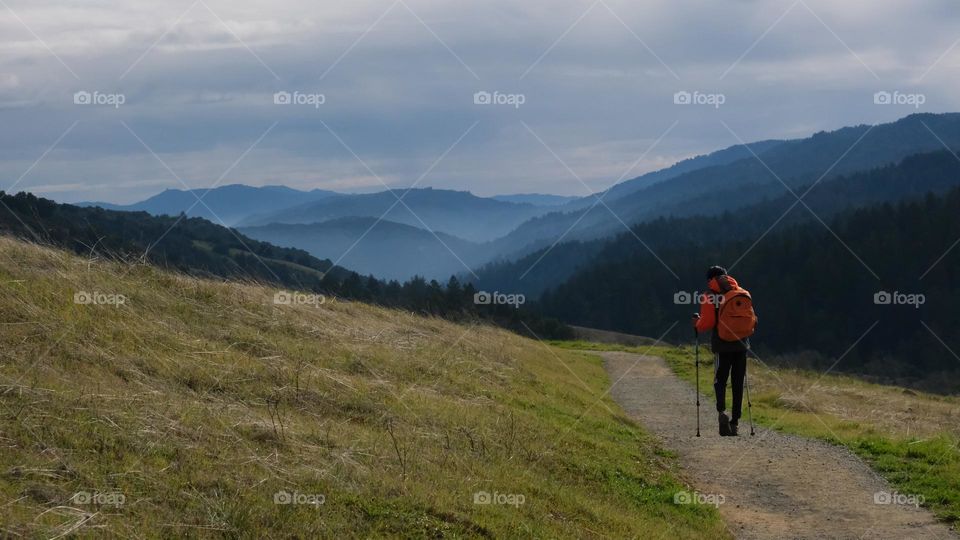 Hiking towards mountains looking blue shrouded in mist.