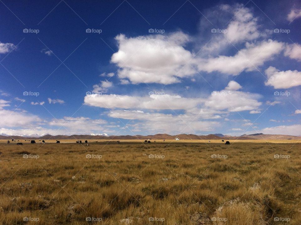 Landscape, No Person, Sky, Nature, Field