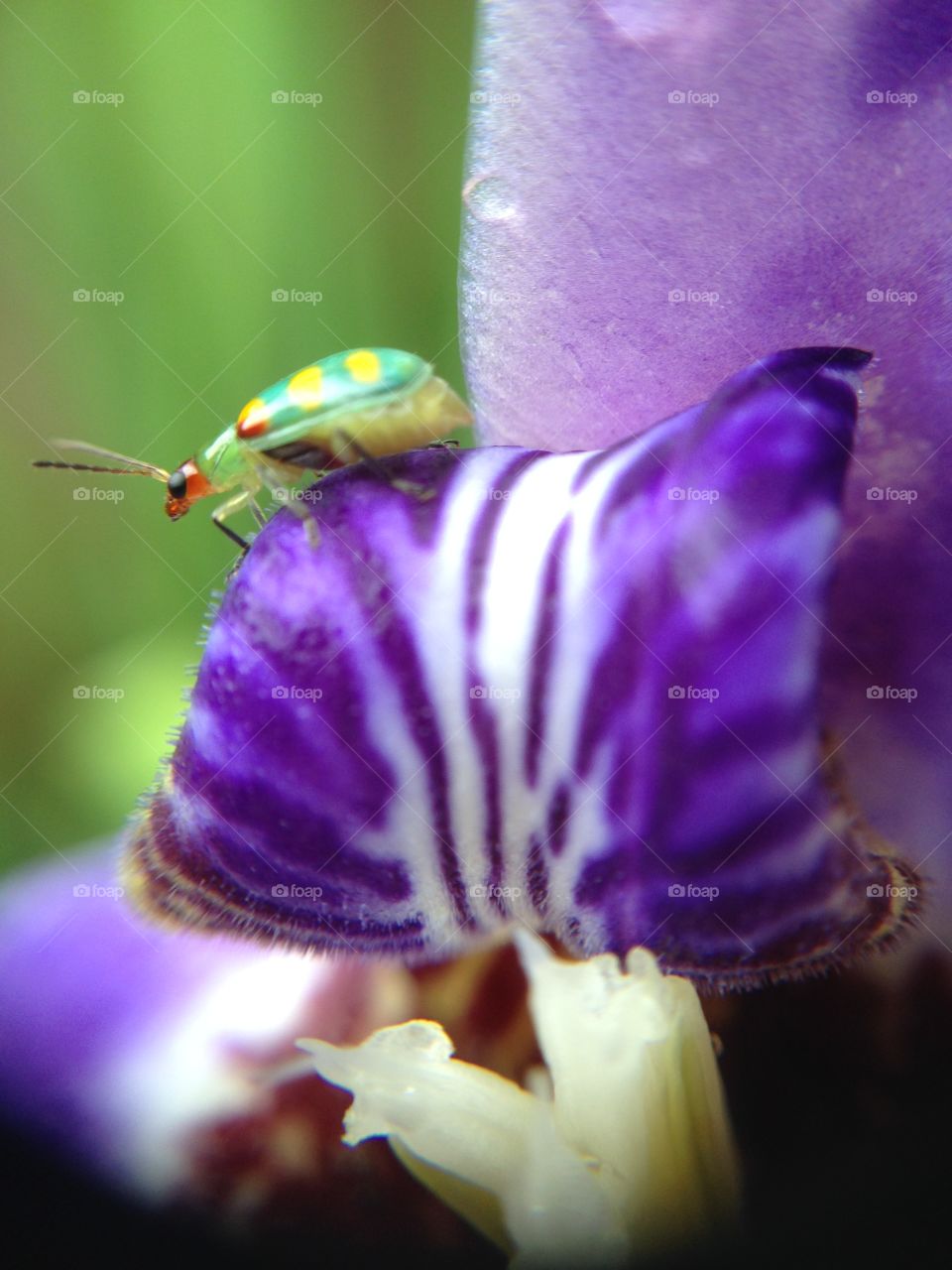 Details of every thing