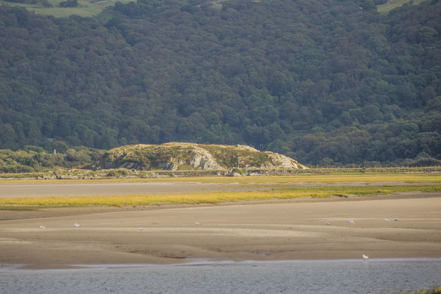 Estuary