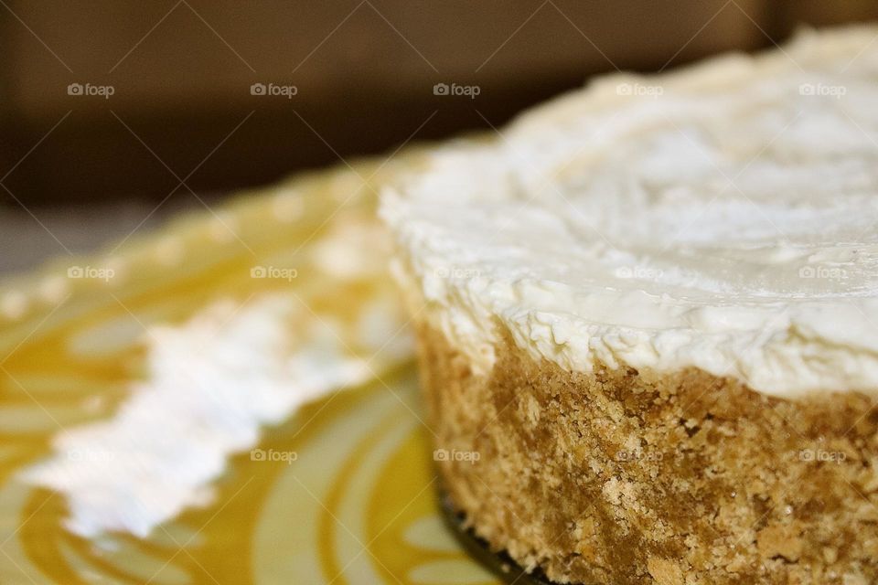 Plain, no bake cheesecake with a graham cracker crust. Macro shot.