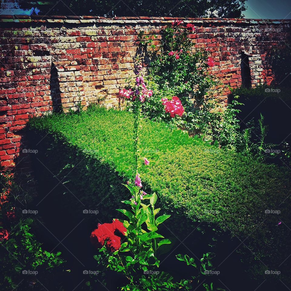 Garden. Old walled garden