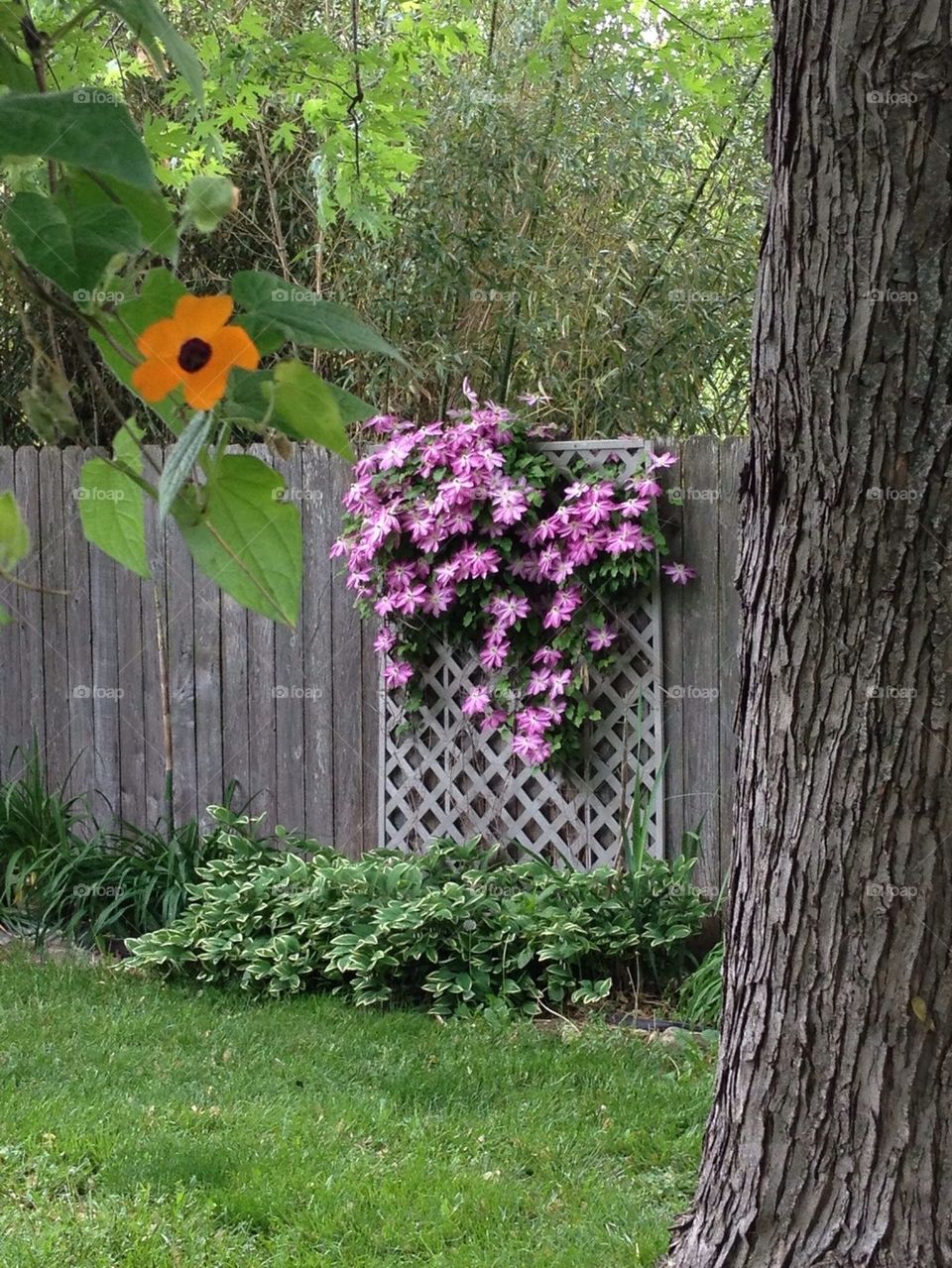 Moms flowers