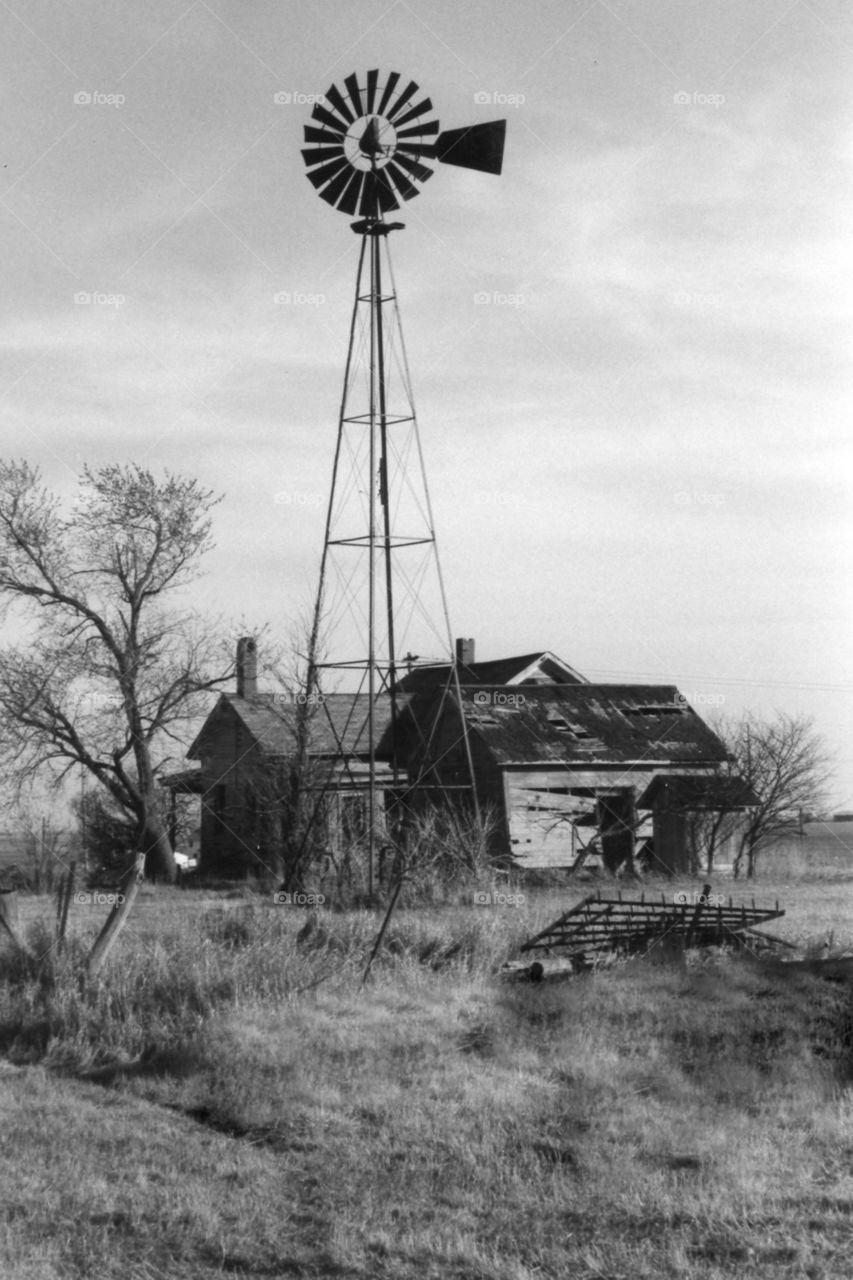 Old Farmhouse 