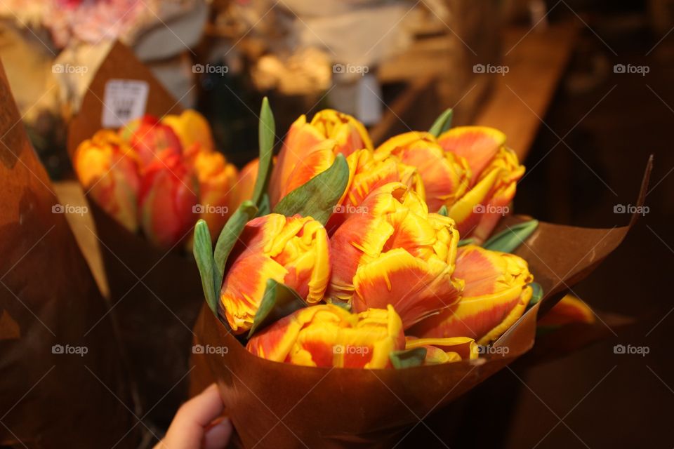 Tulip flowers orange yellow
