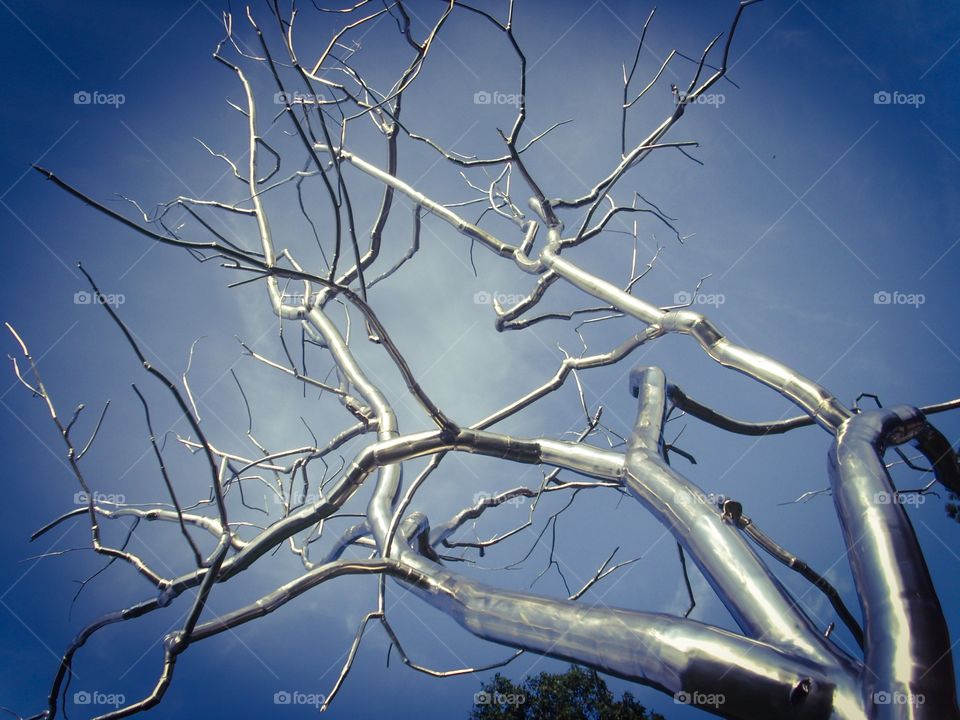 Stainless steel tree. St. Louis Park