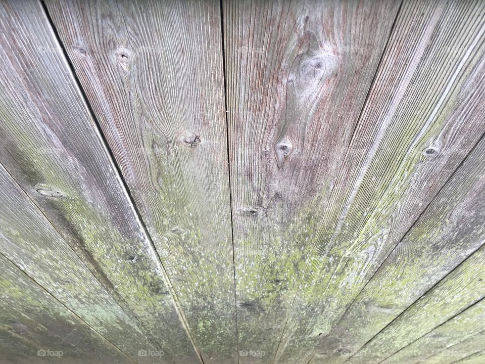Wood Fence 