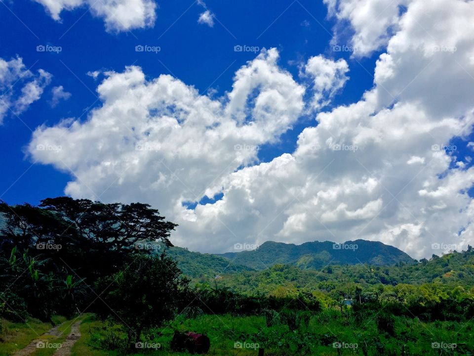 Hiking in Puerto Rico 