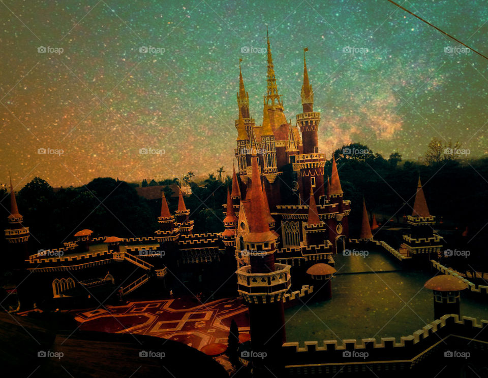 special edition photos 2019