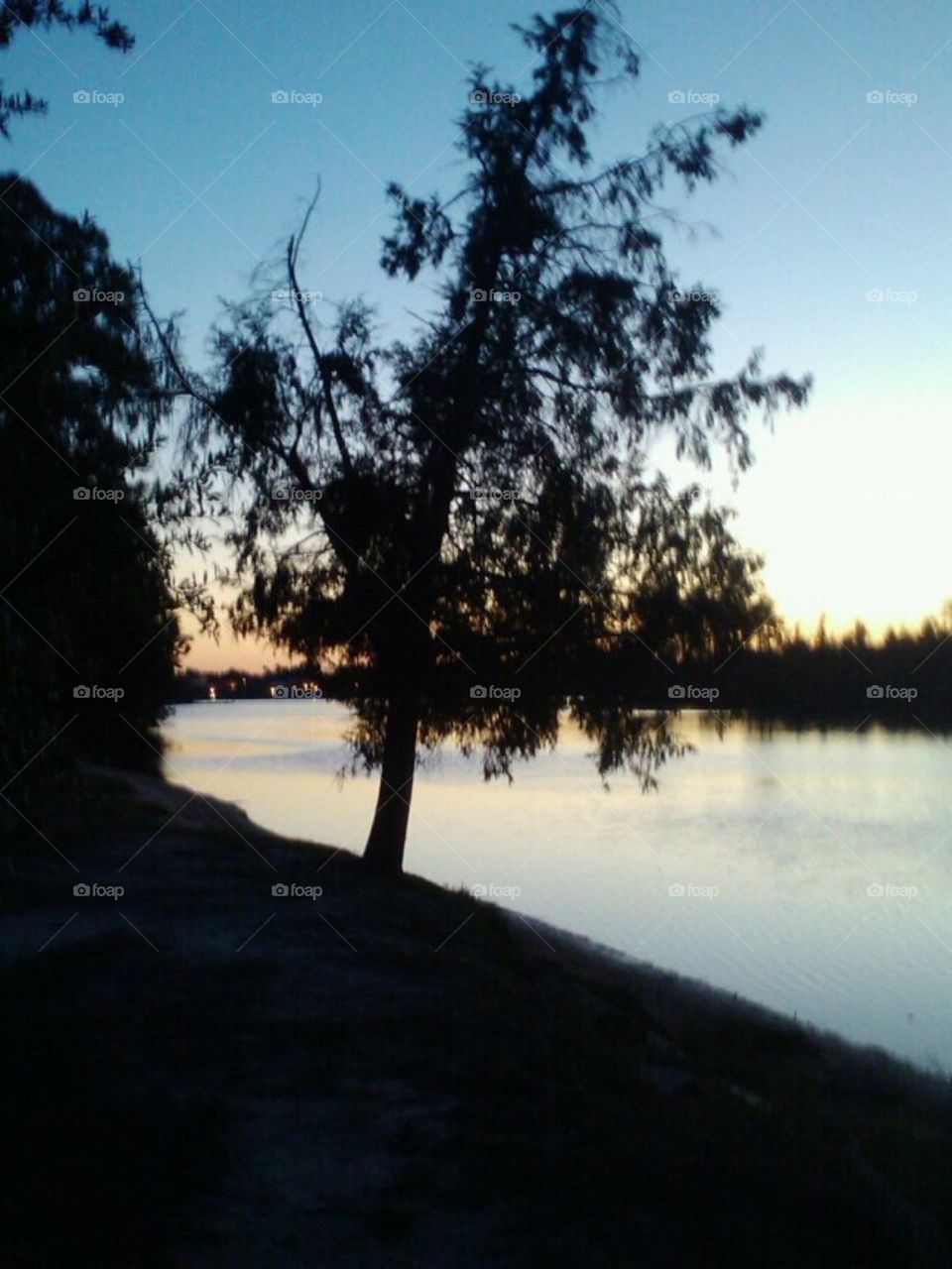 River nights