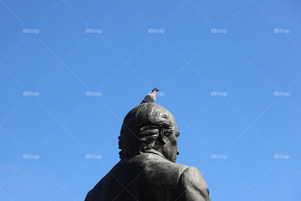 Pigeon on top of the statue head