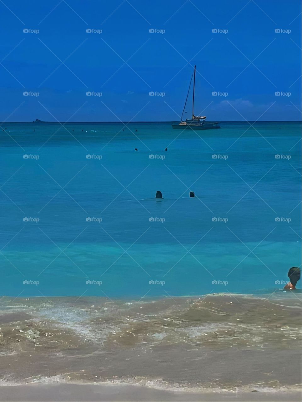 sailing the bluest lagoon