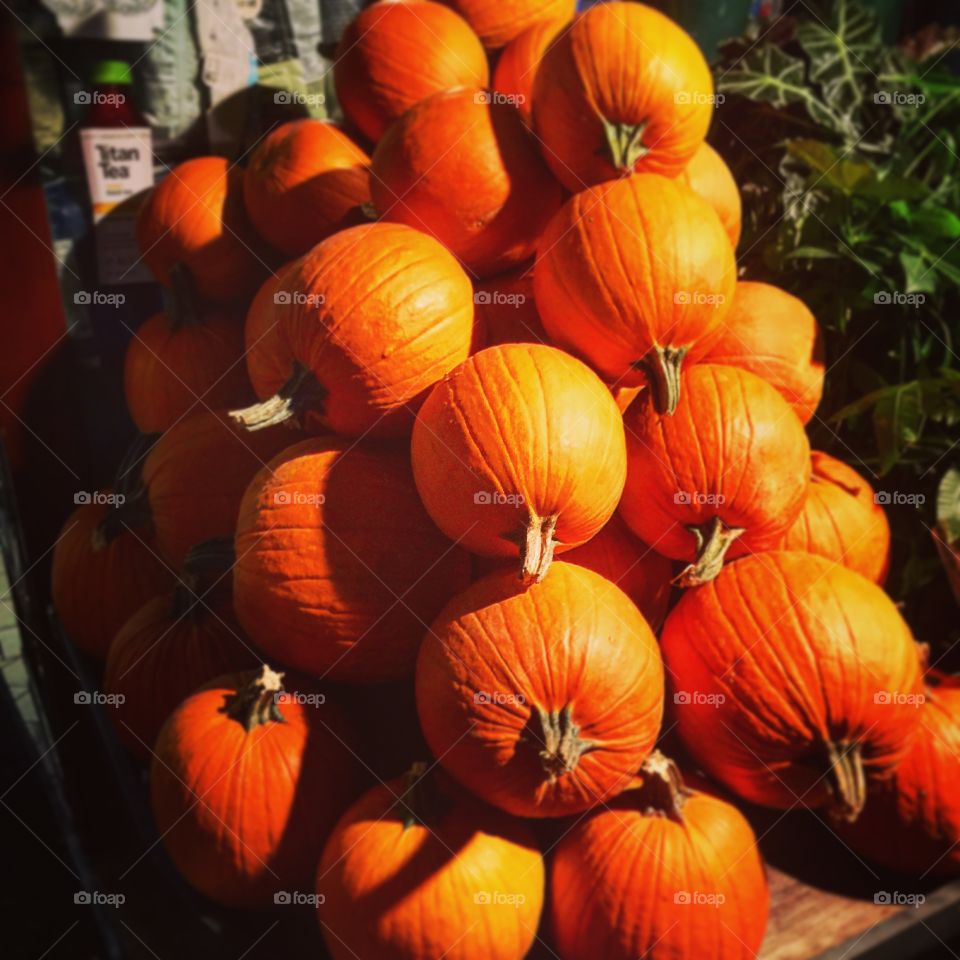 Pumpkins for sale in New York City it’s nearly Halloween 