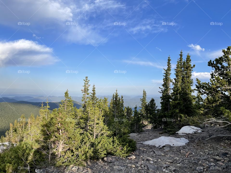 Mountain View with white snow, green pine trees, blue sky, and clouds 