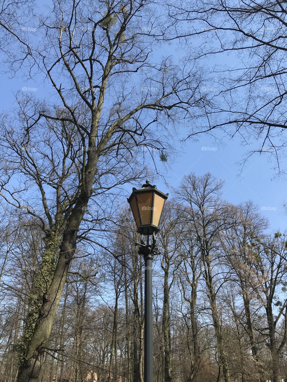 Lamp i the park 