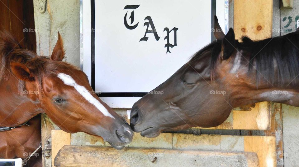 ap it by zazzle.com/fleetphoto