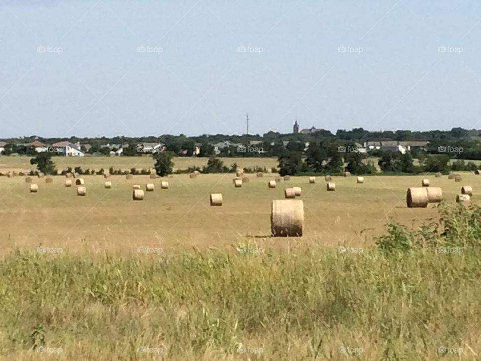 Harvesting Round Hay Bale in The Heart of Texas 